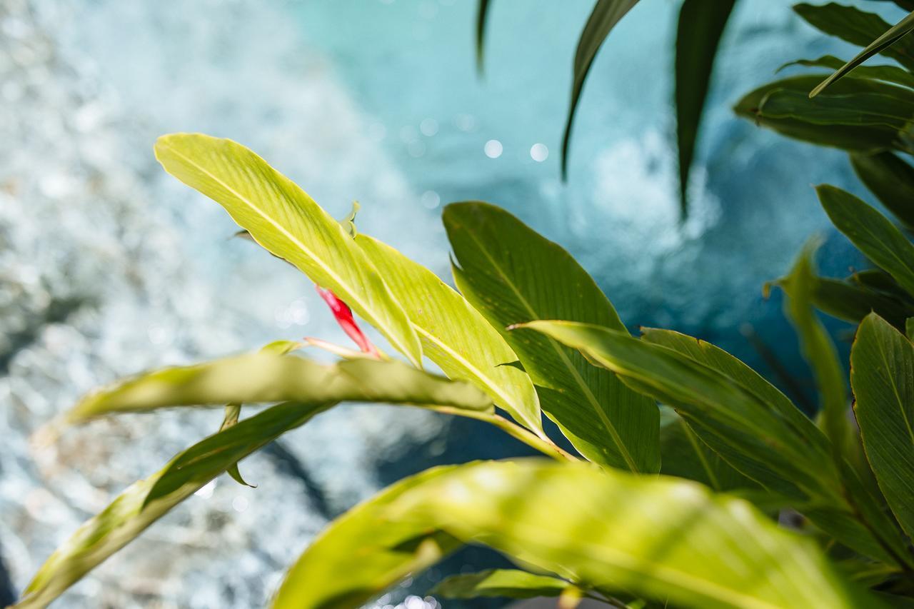 Villa Zita Seminyak Zewnętrze zdjęcie